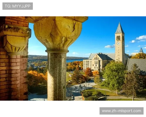 2025留学生求职机构排名出炉，DBC职梦引领行业风向，留学生求职时间线