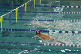 米兰体育网页版-世界游泳锦标赛连续夺金，实力证明中国，世界游泳锦标赛举办地